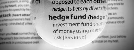 Hedge Fund