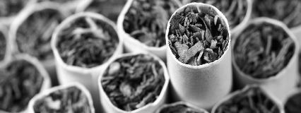 Tobacco